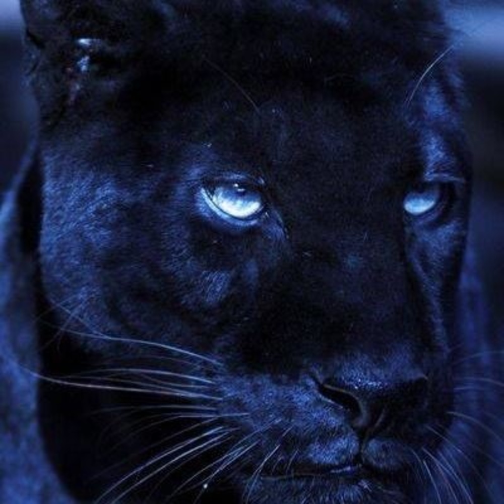 Meet your Posher, Catrice